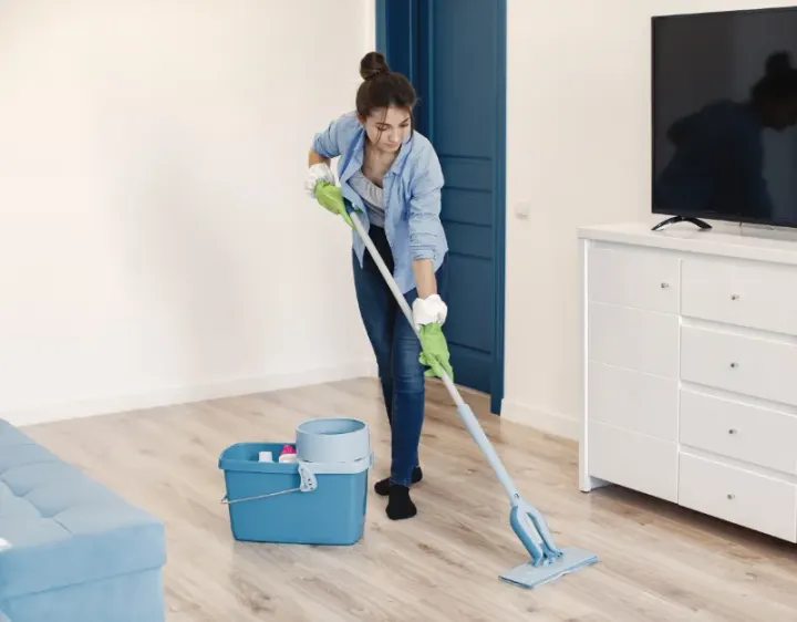 Femme de ménage Les Monts-Verts